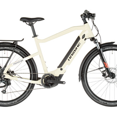 HAIBIKE TREKKING 4 DIAMANT Beige 2022 – 250 W – 60 Nm – 25 km/h